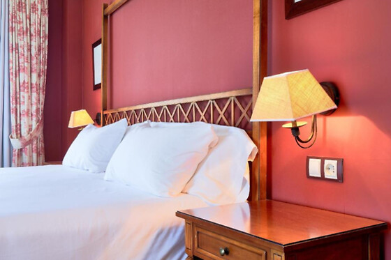 HOTEL SONSOLES AVILA - photo 6
