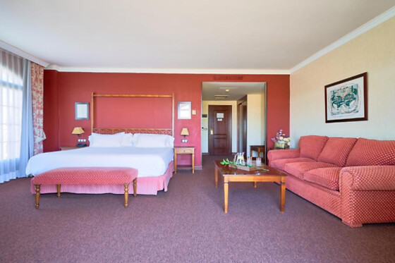 HOTEL SONSOLES AVILA - photo 7