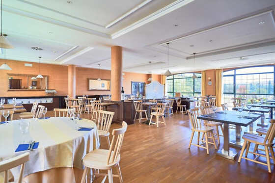 HOTEL SONSOLES AVILA - photo 9