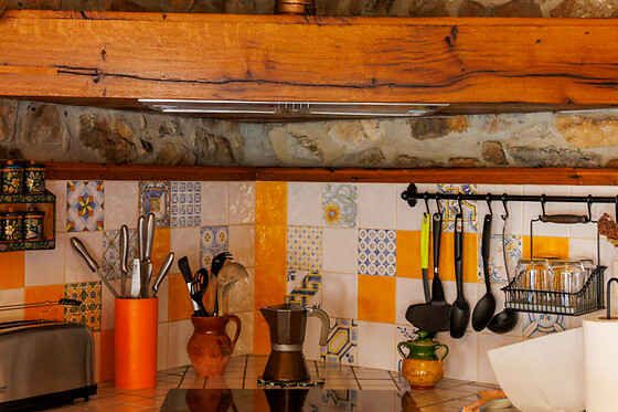 VERDIAGO VIVE - photo 7