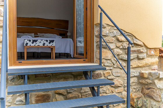 VERDIAGO VIVE - photo 14