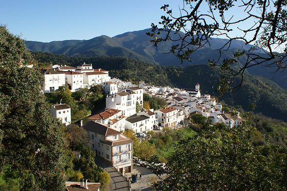 LA POSADA DEL RECOVERO - photo 4