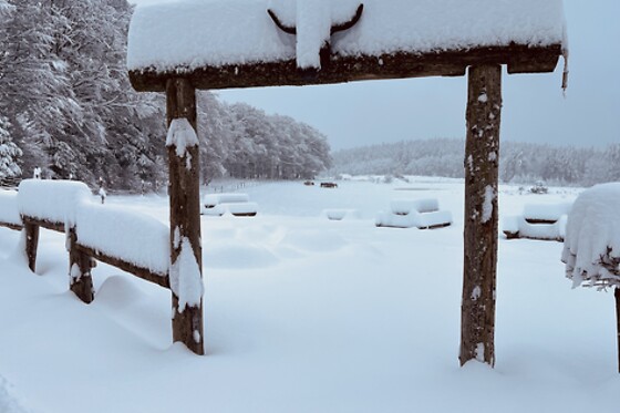 Ranch Haut Languedoc - photo 5