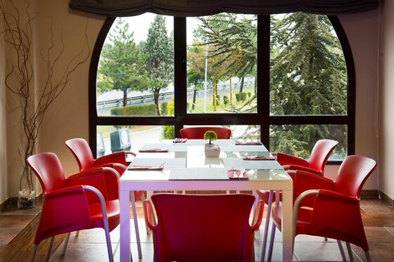 HOTEL SEGOVIA SIERRA DE GUADARRAMA - photo 11