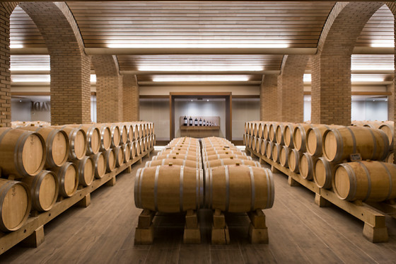 BODEGA FINCA VILLACRECES & BODEGA IZADI - photo 3