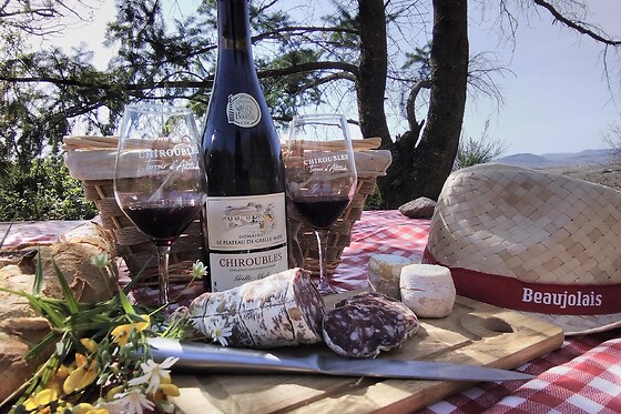 Domaine Le Plateau de Grille-Midi - photo 0