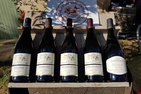 Domaine Le Plateau de Grille-Midi - photo 1