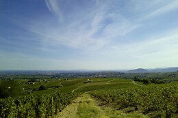 Domaine Le Plateau de Grille-Midi