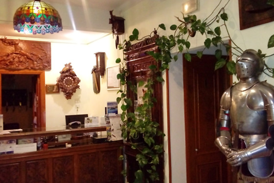 HOTEL LOS PERALES - photo 4