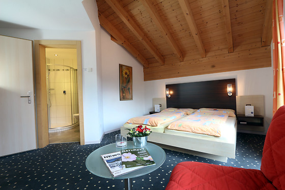 Hotel FEEHOF Garni - photo 4