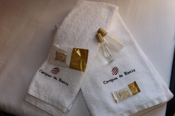 HOTEL CAMPOS DE BAEZA - photo 14