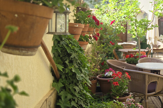 COMPLEJO TURÍSTICO LA MURALLA - photo 16