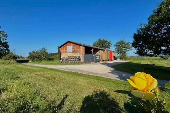 Bertrand Henry - Domaine de Cadeillac - photo 1