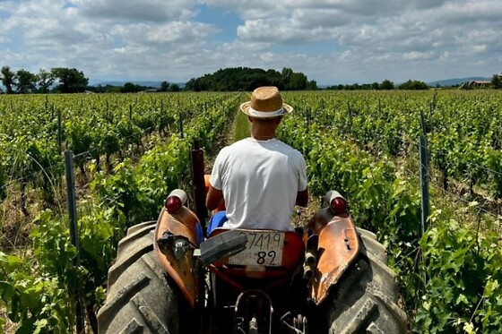 Bertrand Henry - Domaine de Cadeillac - photo 2
