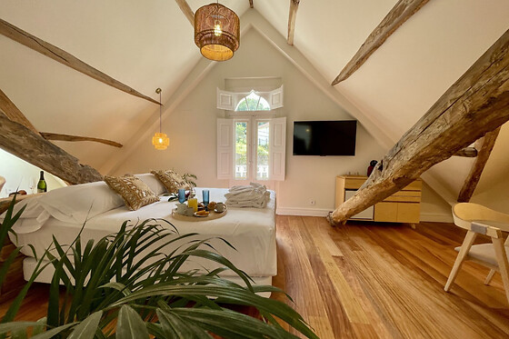 VILLA BOUTIQUE 1880 - photo 14