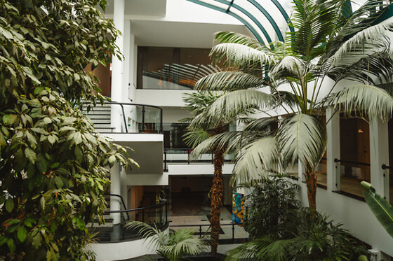 Cidnay Santo Tirso - Charming Hotel & Executive Center ***** - photo 4