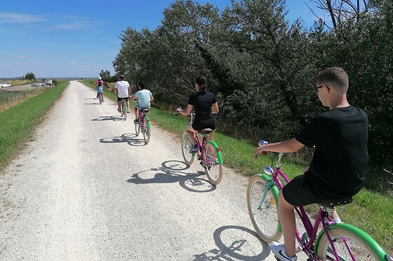 Original Vélo Tour - photo 8