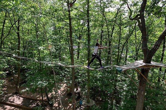 AccroCamp SAS - photo 6