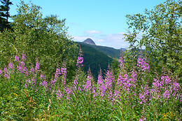 Ciel d'ardèche