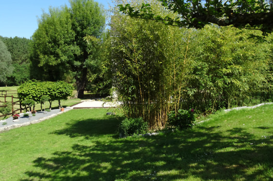 Le Moulin de Reigner - photo 3