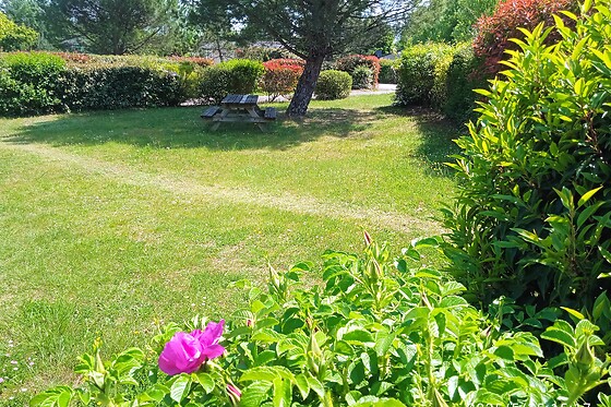 Hameaux de miel - photo 10