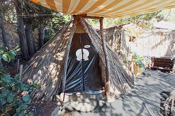STUDIO MAZO THE GLAMPING - photo 9