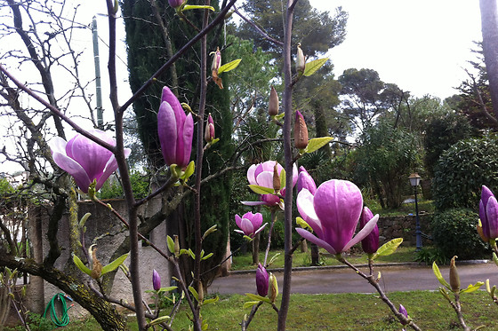 La Douce Heure - photo 8