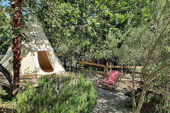 Les Roulottes et Cabanes de Saint-Cerice - photo 24