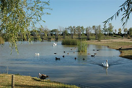 PARC D'AVENTURA I NATURA DELTAVENTUR