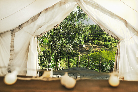 Quinta Alma, ecological Retreat Farm - photo 13