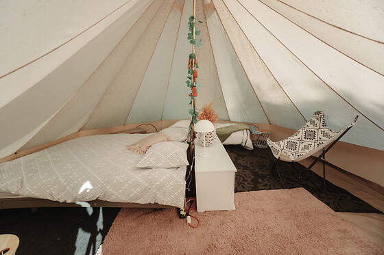 De Witte Merel & Hotel at home - photo 8