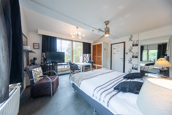 De Witte Merel & Hotel at home - photo 19