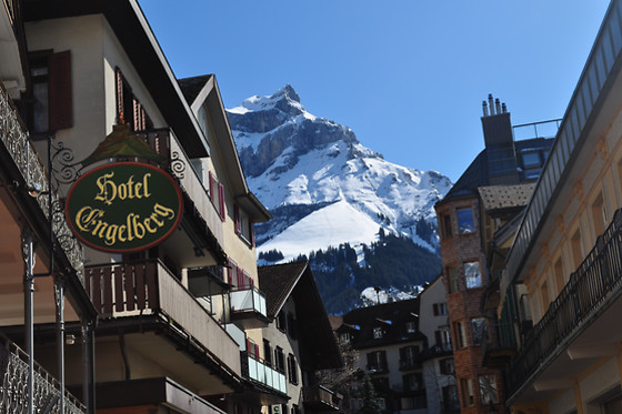 Hotel Engelberg - photo 6