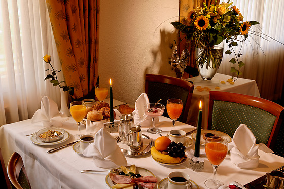 Bristol Hotel Adenboden - photo 5