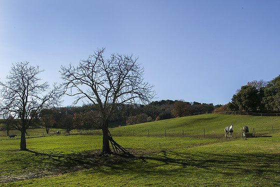 Domaine de la Trille - photo 2
