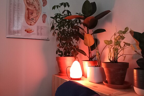 Refeel reflexology - photo 1