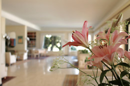 Hotel Ascona****