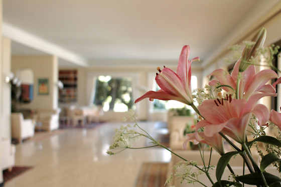 Hotel Ascona**** - photo 6