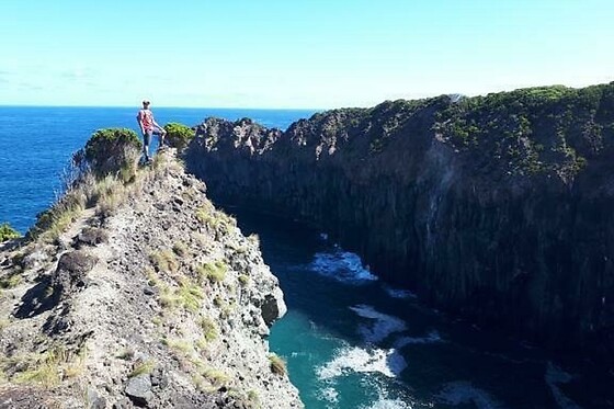 Azores Nature Tours - photo 24