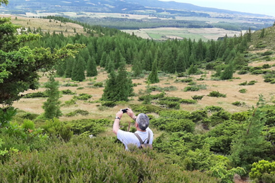Azores Nature Tours - photo 20