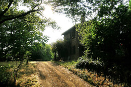 Poggio Del Castagno