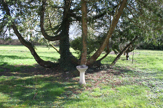 Le Clos de Caramélia - photo 6
