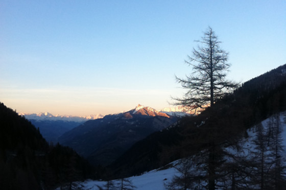 Hotel du Col de la Forclaz - photo 8