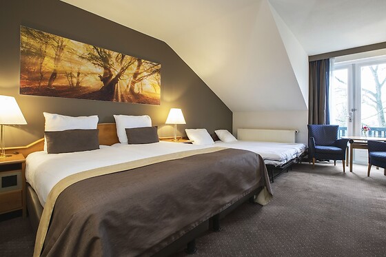 Fletcher Hotel-Restaurant Klein Zwitserland (HOTEL) - photo 2