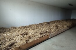 Ferme Le Bochet