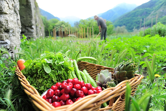 Ferme Le Bochet - photo 13