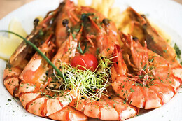 Restaurant Alma Lusa