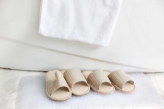 HOTEL ARVA SPA PARIS - photo 10
