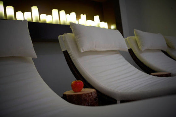 Europe Hotel & Spa Zermatt**** - photo 3