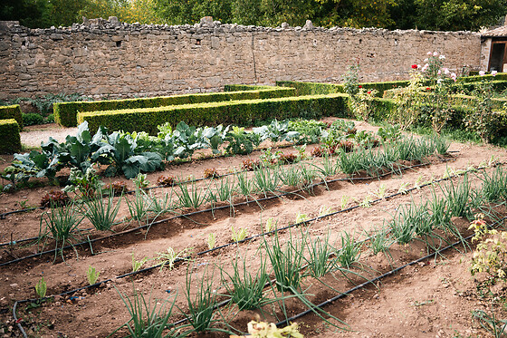 HOTEL RURAL HORT DE FORTUNYO - photo 12